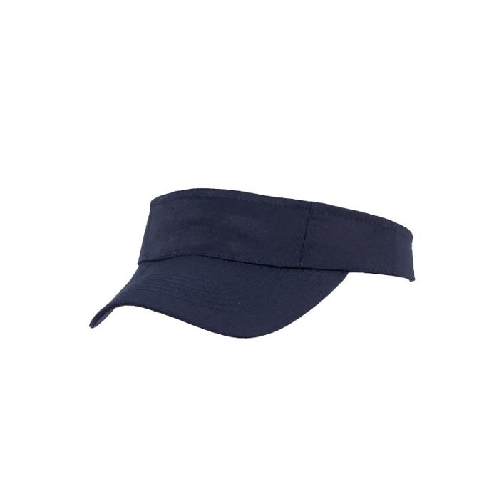 Visera